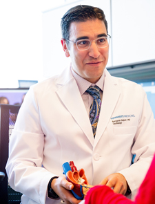 doctor holding a model of a heart while talking to a patient