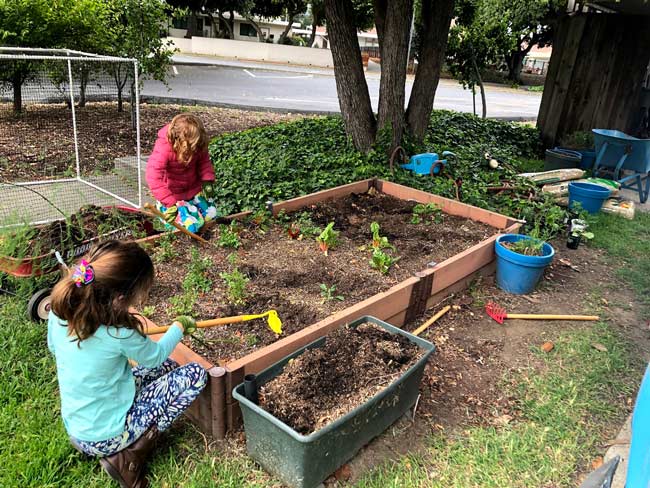 Two children gardening in planter box.