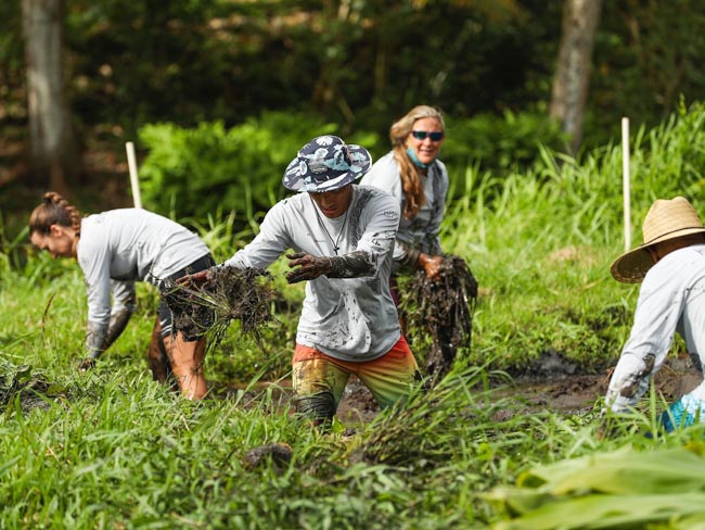 Volunteers weeding.