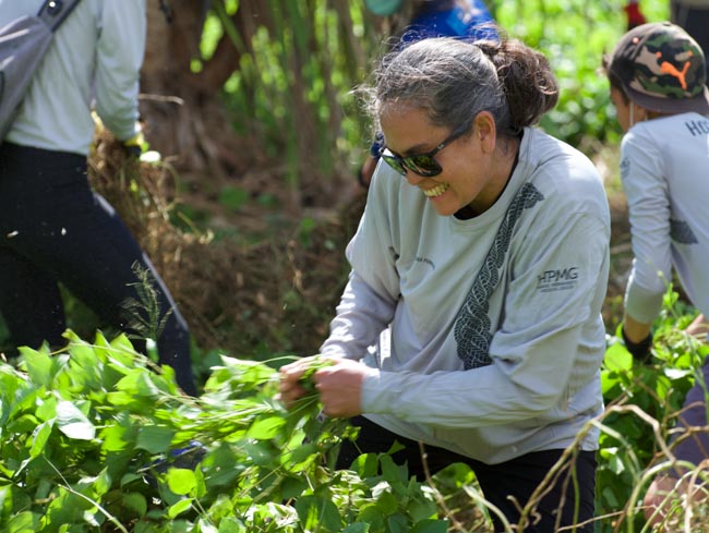 Volunteers weed.