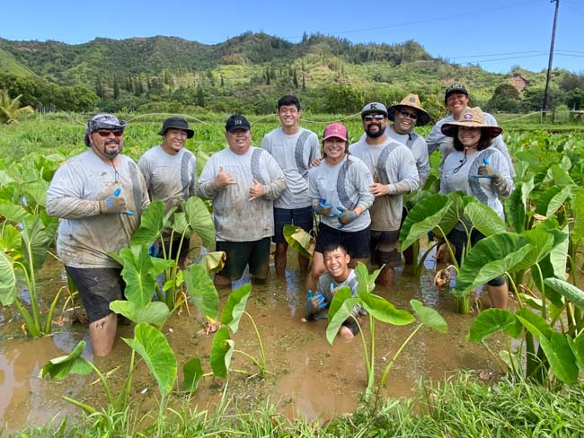 Group of volunteers in taro patch.