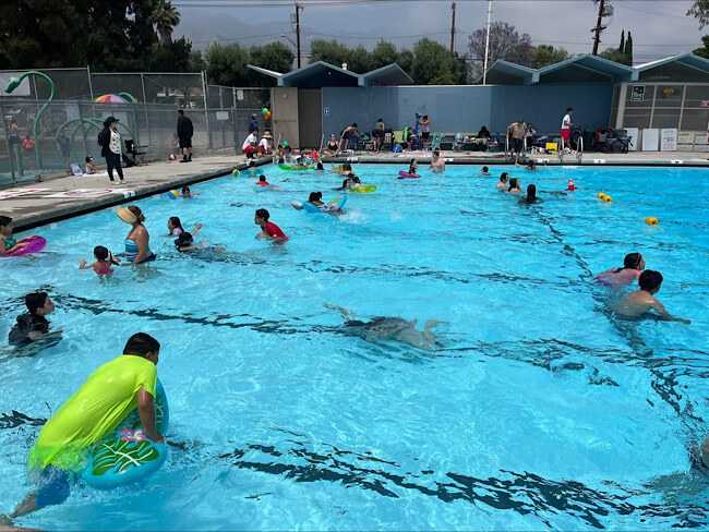 Families in swimming pool 