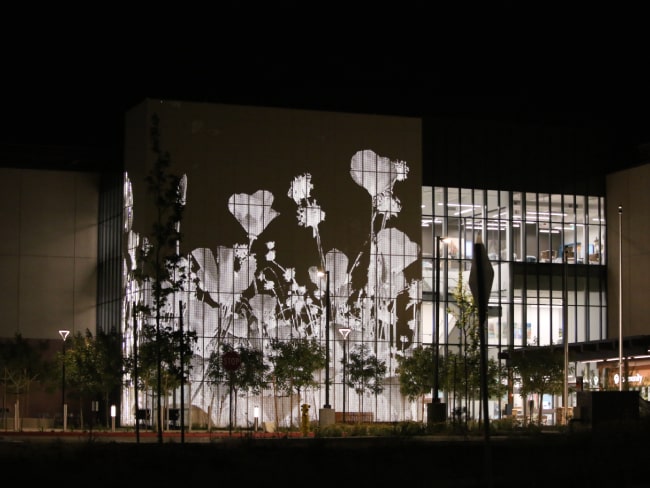 Exterior of Wildomar Trail Medical Offices at night