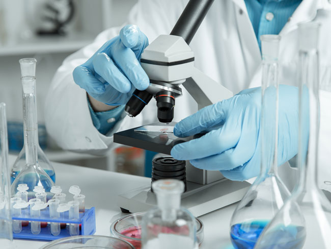 hands wearing blue gloves holding lab specimen under a microscope